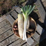 無農薬野菜のミレーの 口コミが気になる？野菜栽培士が調査した！