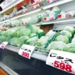 冬野菜が高い時の節約料理の食材と入手法と使い方はこれだ!