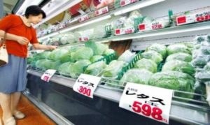 冬野菜が高い時の節約料理の食材と入手法と使い方はこれだ!