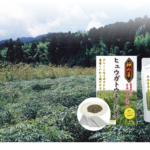 【神の草ヒュウガトウキ】は高血圧・高血糖の気になる方へ!