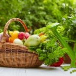 無添加とオーガニックの違いは？本当に体にいいのはどちら？