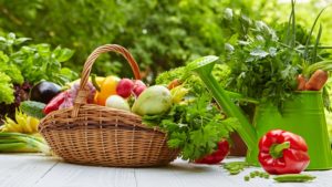 無添加とオーガニックの違いは？本当に体にいいのはどちら？