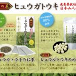 ヒュウガトウキの成分と効能や副作用の心配と飲み方を伝えよう。