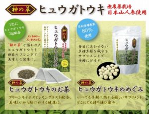 ヒュウガトウキの成分と効能や副作用の心配と飲み方を伝えよう。