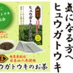 ヒュウガトウキの効能や効果は本当?実際に飲んで試してみた!