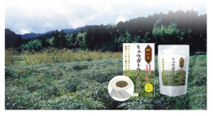 ヒュウガトウキのお茶の作り方が話題です!忙しい方はサプリで!