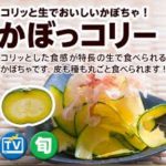 オイシックスの期間限定お試しセット!17品目でご褒美プリン!
