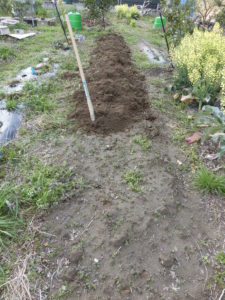 野菜栽培士が菜園を公開！春来たる啓蟄の日に畝作りを公開！