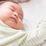 妊娠初期に摂りたい大事な栄養素と家族の健康に必要な食べ物は?