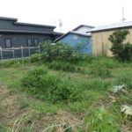 野菜栽培士が菜園を公開！梅雨明け！でも、夏野菜の出来は最悪！