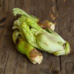 春の旬の食材で自律神経を整えよう！