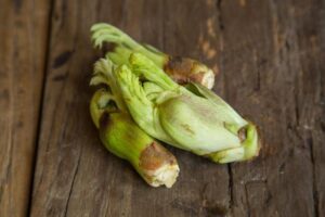 春の旬の食材で自律神経を整えよう！